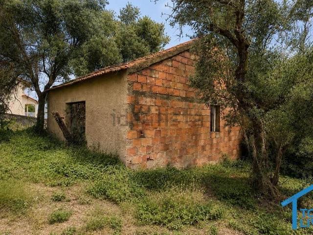 Casa rústica, Tomar e Santa Maria dos Olivais