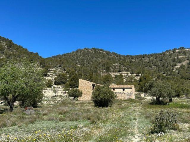 Casa rústica, Torremanzanas