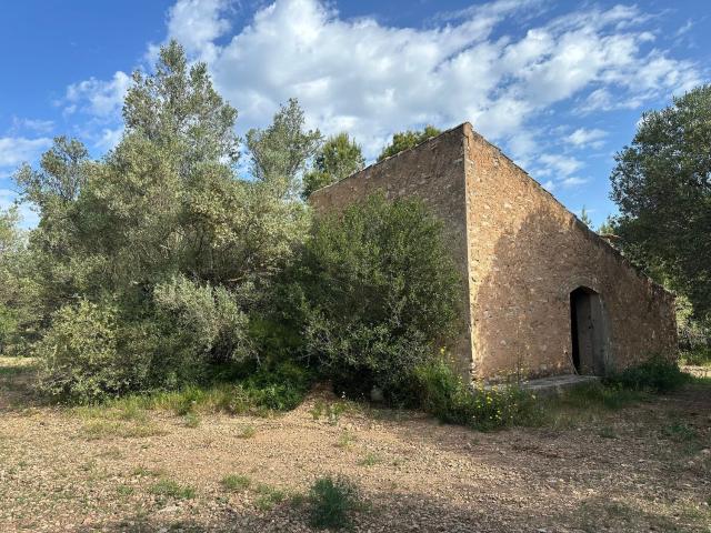 Casa rústica, Tortosa