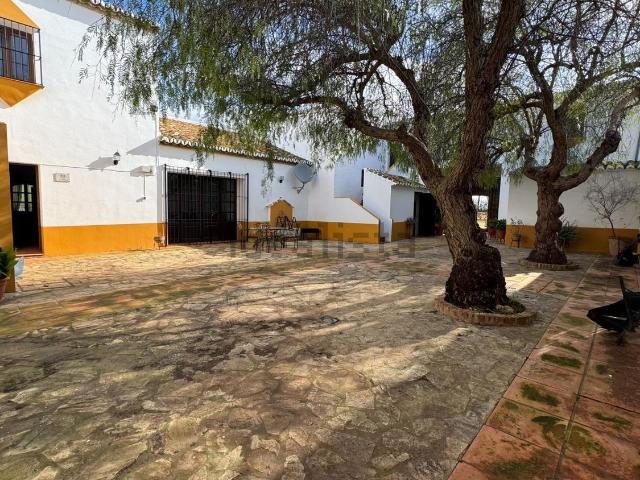 Casa rústica, Teba