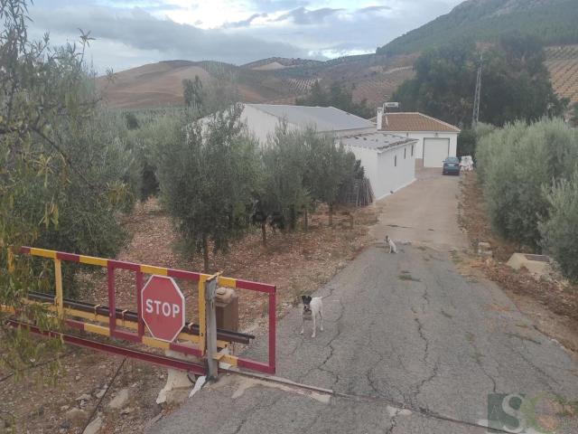 Casa rústica, Teba