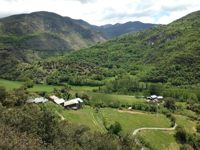 Casa rústica, Tirvia