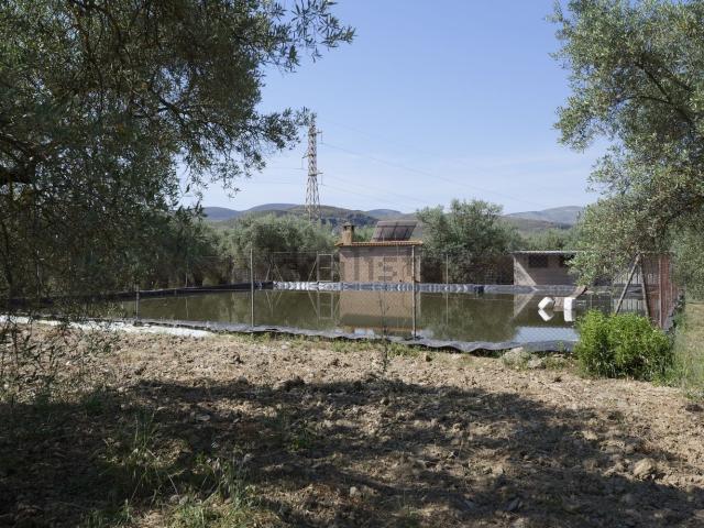 Casa rústica, Ugijar
