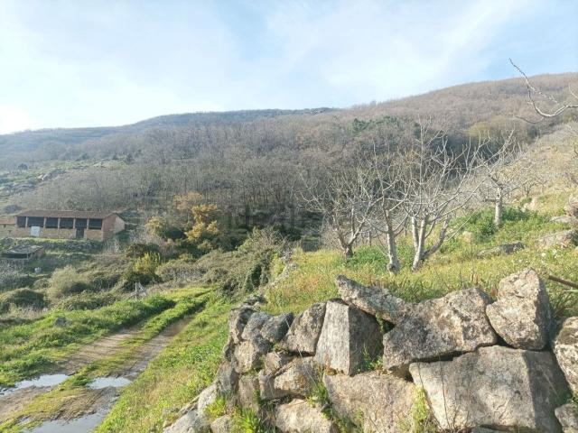 Casa rústica, Valverde de la Vera
