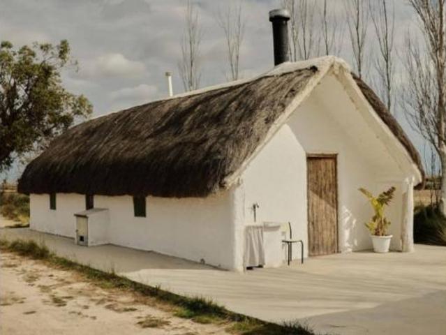 Casa rústica Venta Amposta, Poble Nou del Delta Eucaliptus