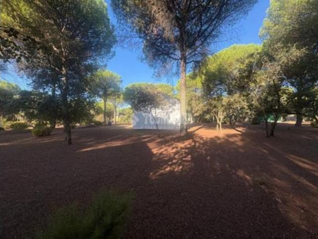 Casa rústica Venta Andújar, Andújar