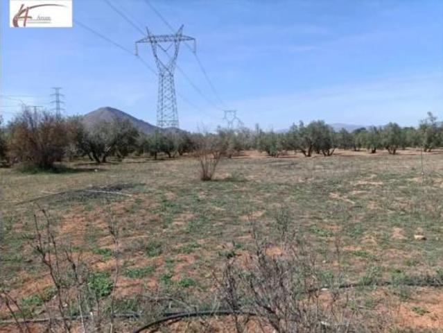 Casa rústica Venta Albolote, Albolote