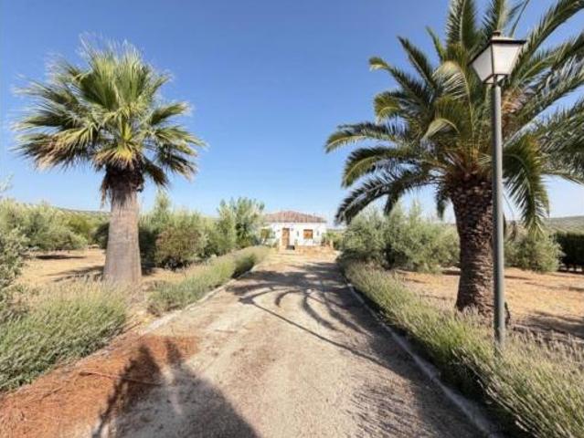 Casa rústica Venta Alcaudete, Alcaudete