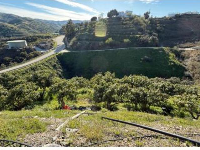 Casa rústica Venta Almáchar, Almáchar