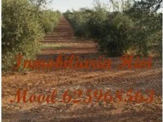 Casa rústica Venta Almendralejo, Almendralejo