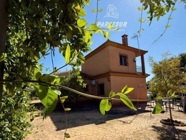 Casa rústica Venta Almodóvar del Río, Cortijo de La Torre
