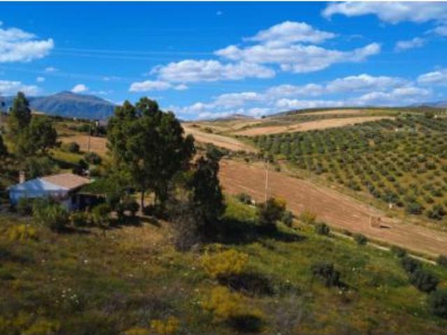 Casa rústica Venta Álora, Álora