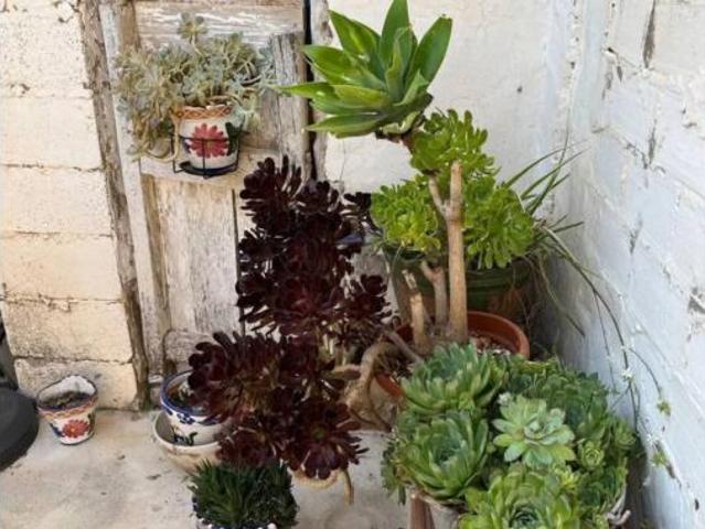 Casa rústica Venta Alpuente, Alpuente