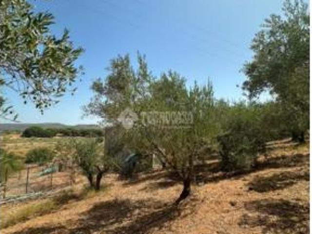 Casa rústica Venta Arcos de la Frontera, Arcos de la Frontera