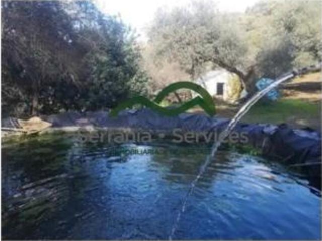 Casa rústica Venta Genalguacil, Genalguacil