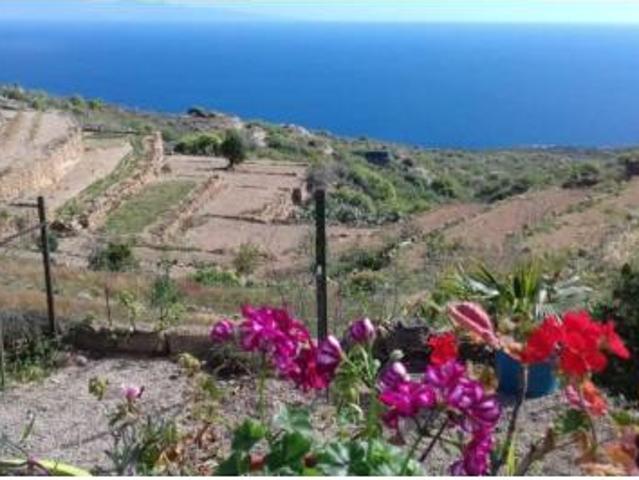 Casa rústica Venta Güímar, El Escobonal
