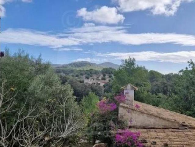 Casa rústica Venta Felanitx, Cas Concos