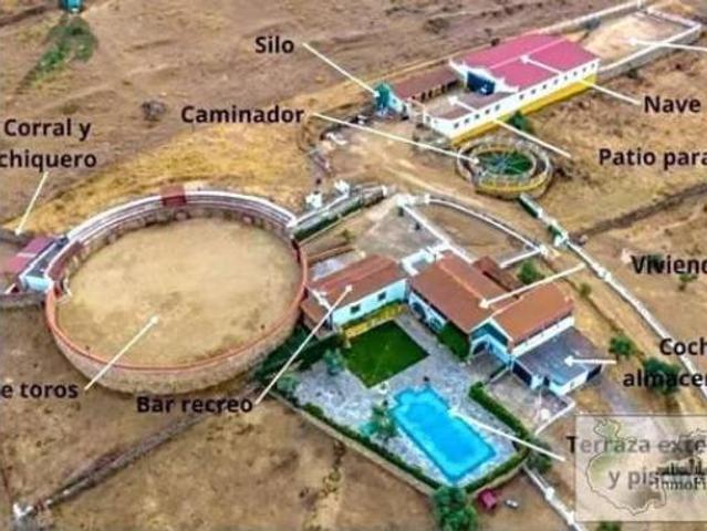 Casa rústica Venta Higuera de Vargas, Higuera de Vargas