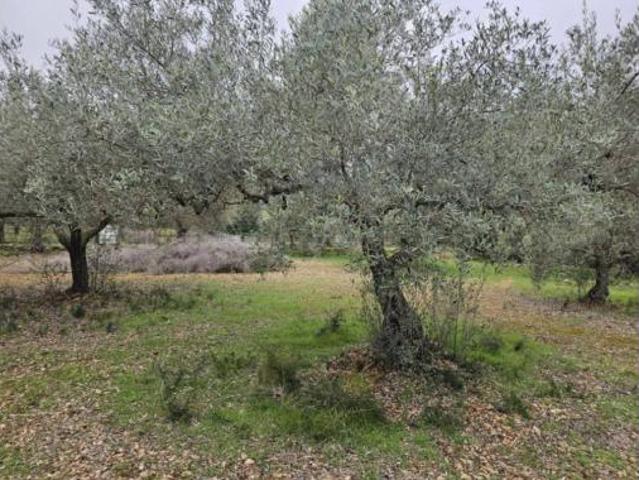 Casa rústica Venta La Ràpita, Zona Nord