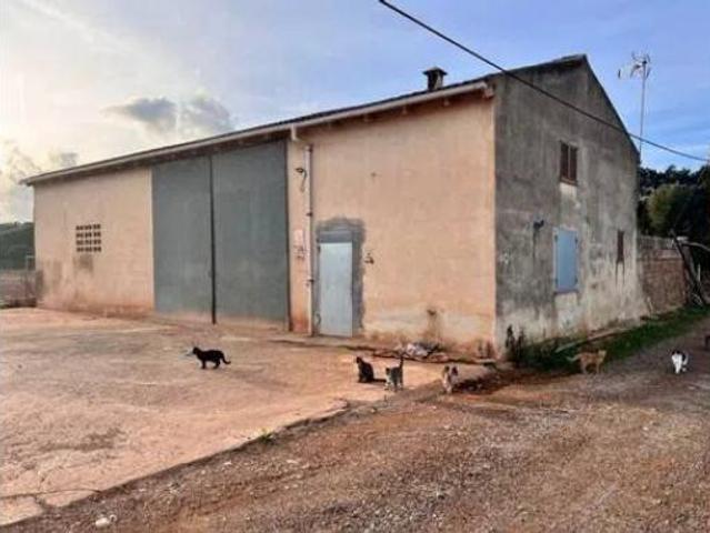 Casa rústica Venta Llubí, Llubí