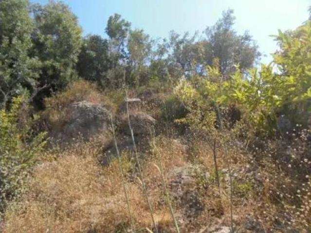 Casa rústica Venta Motril, Motril