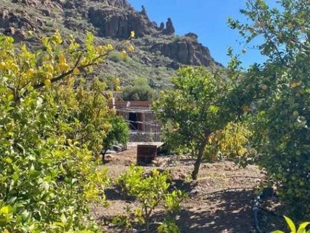 Casa rústica Venta Mogán, Los Almácigos El Horno