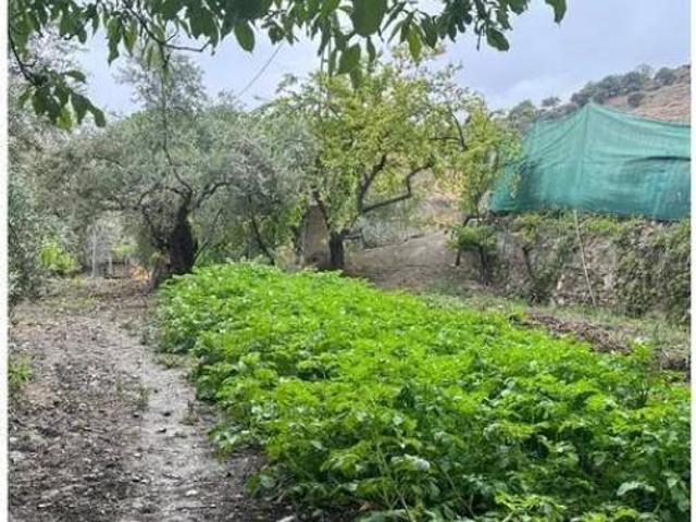Casa rústica Venta Monachil, Monachil