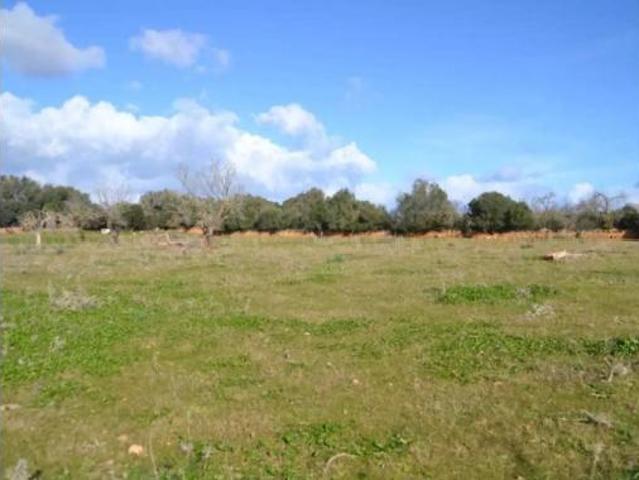 Casa rústica Venta Manacor, Manacor