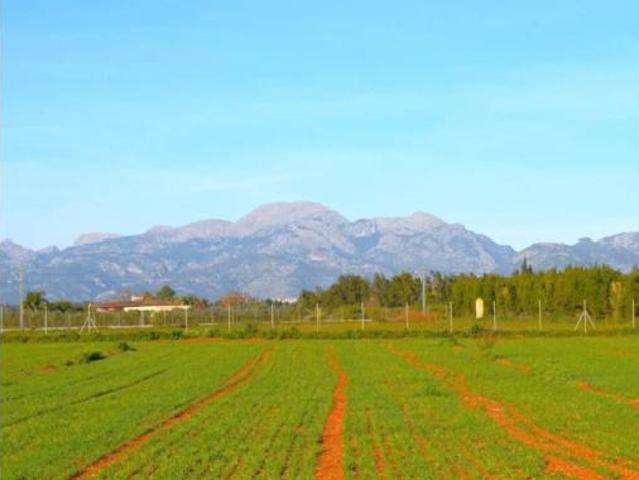 Casa rústica Venta Muro, Muro