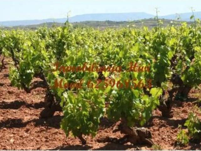 Casa rústica Venta Solana de los Barros, Solana de los Barros