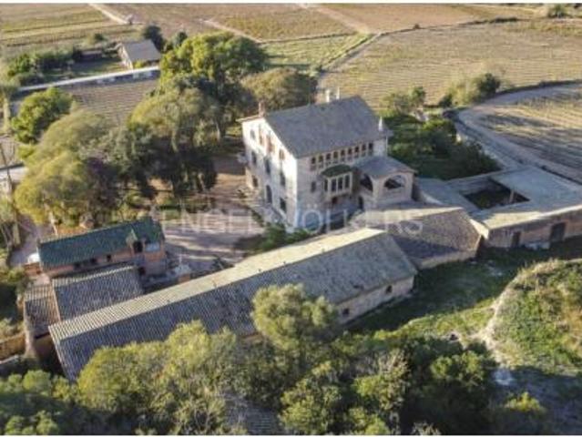 Casa rústica Venta Sant Pere de Ribes, Puigmoltó Viñedos Can Macià