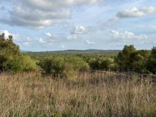 Casa rústica Venta Santa Margalida, Santa Margalida