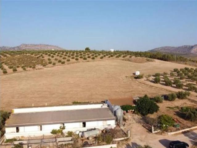 Casa rústica Venta Serrato, Serrato