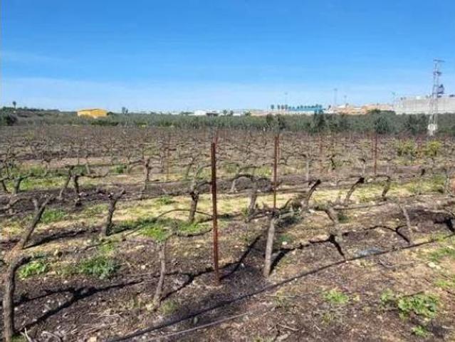 Casa rústica Venta Pilas, Pilas