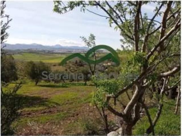 Casa rústica Venta Ronda, Ronda