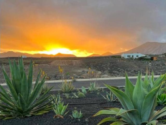 Casa Venta Tías, Barranco de La Calera