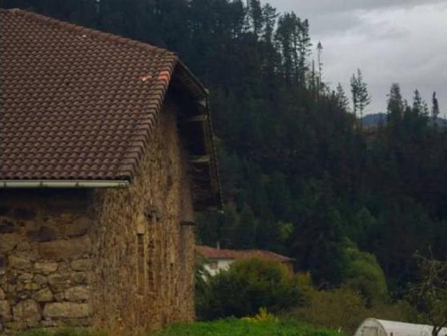 Casa rústica Venta Zeanuri, Zeanuri