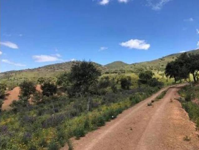 Casa rústica Venta Zufre, Zufre