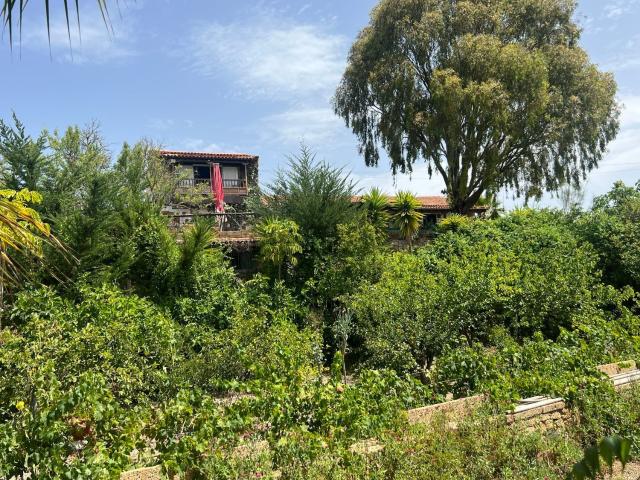 Casa rústica, Vilaflor