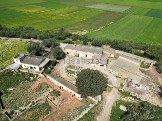 Casa rústica, Villafranca de Bonany