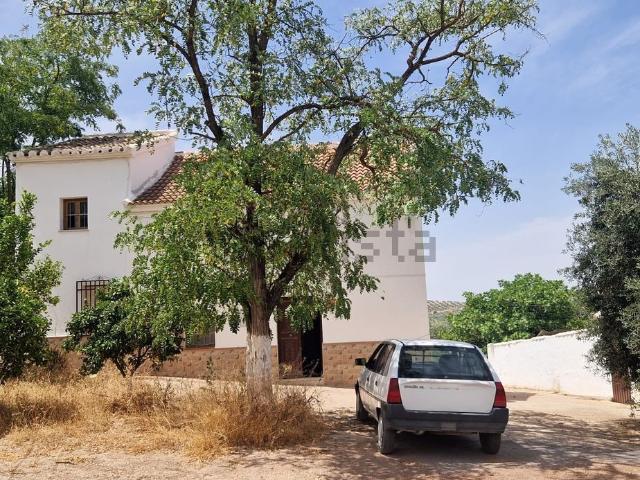 Casa rústica, Villanueva de Algaidas