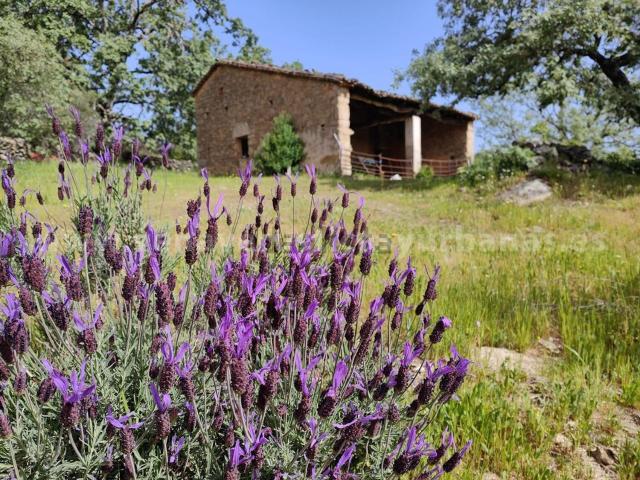Casa rústica, Villanueva de la Vera