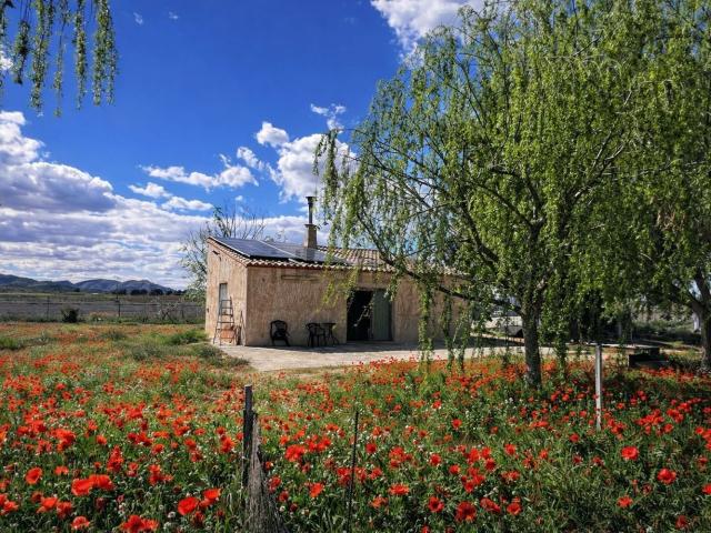 Casa rústica, Villena