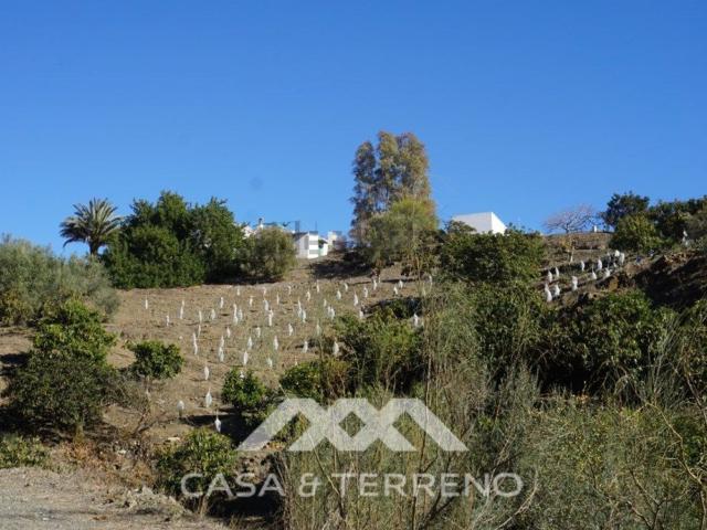 Casa rústica, Viñuela