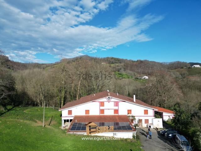 Casa rústica, Zizurkil