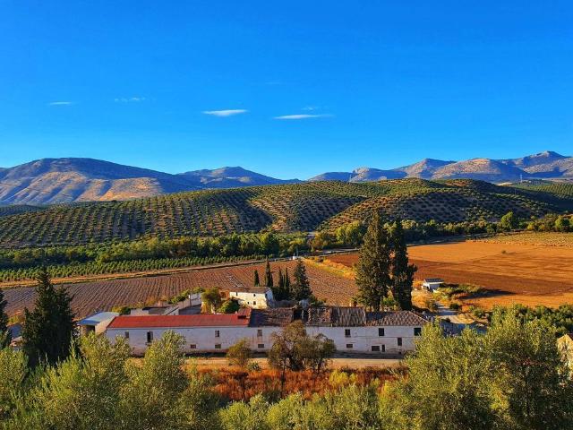 Casa rural de lujo de 1200 m2 en venta Albolote, Andalucía