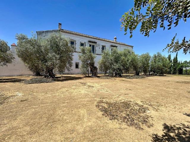 Casa rural de lujo de 2088 m2 en venta Bollullos de la Mitación, España
