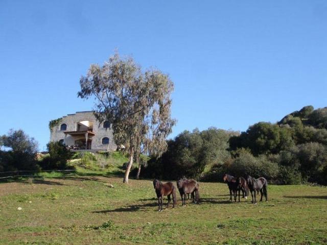 Casa rural de lujo en venta Alayor, España