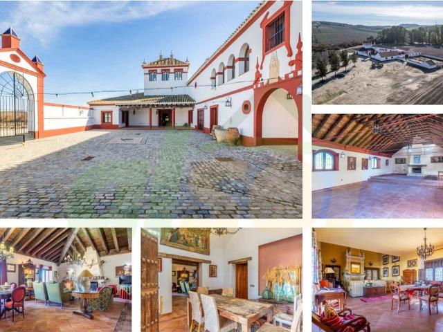 Casa rural de 2220 m2 en venta La Puebla de Cazalla, España