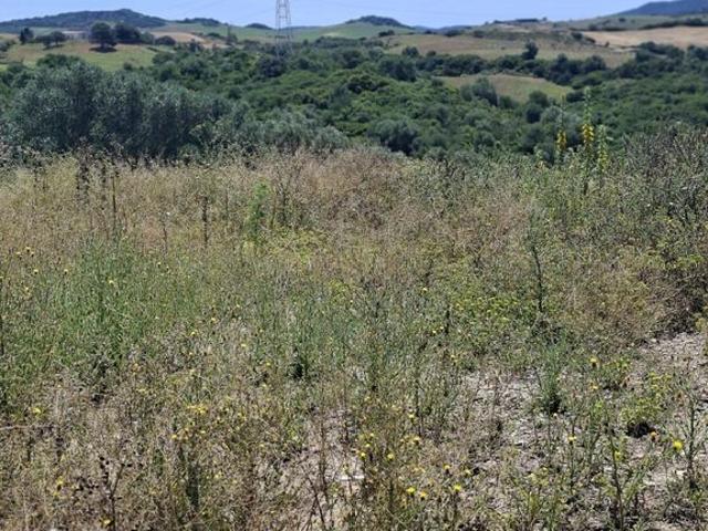 Casa rural de 50 m2 en venta Chiclana de la Frontera, Andalucía